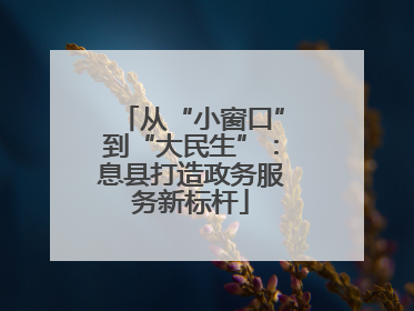 从“小窗口”到“大民生”：息县打造政务服务新标杆