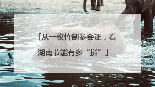 从一枚竹制参会证，看湖南节能有多“拼”