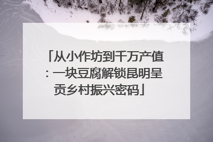 从小作坊到千万产值：一块豆腐解锁昆明呈贡乡村振兴密码