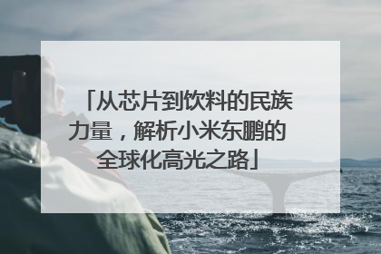 从芯片到饮料的民族力量，解析小米东鹏的全球化高光之路