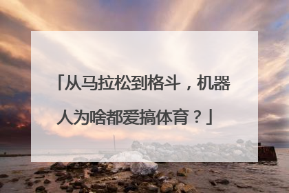 从马拉松到格斗，机器人为啥都爱搞体育？