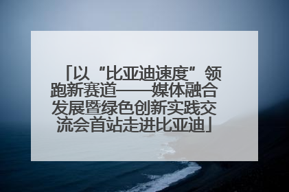 以“比亚迪速度”领跑新赛道——媒体融合发展暨绿色创新实践交流会首站走进比亚迪
