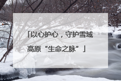 以心护心，守护雪域高原“生命之脉”