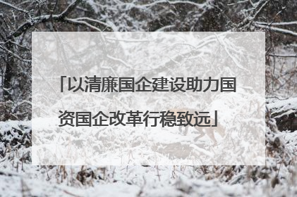 以清廉国企建设助力国资国企改革行稳致远