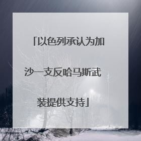 以色列承认为加沙一支反哈马斯武装提供支持