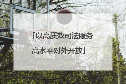 以高质效司法服务高水平对外开放