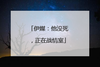 伊媒：他没死，正在战情室