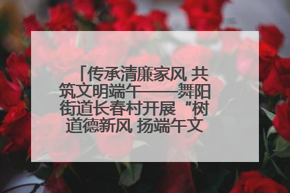 传承清廉家风 共筑文明端午——舞阳街道长春村开展“树道德新风 扬端午文化”主题活动