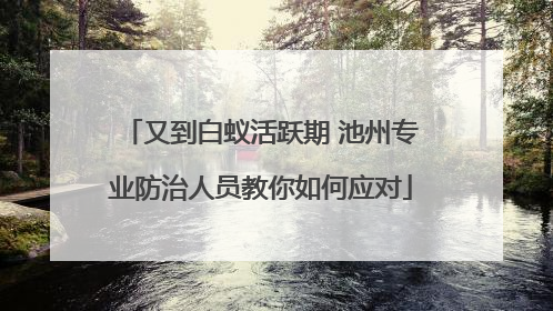 又到白蚁活跃期 池州专业防治人员教你如何应对
