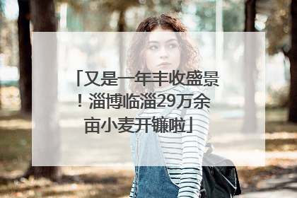 又是一年丰收盛景！淄博临淄29万余亩小麦开镰啦