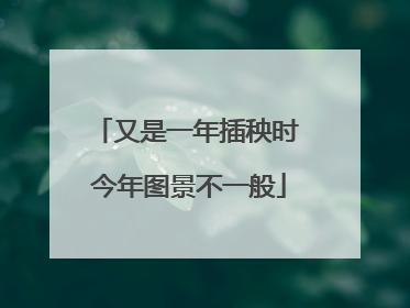 又是一年插秧时 今年图景不一般