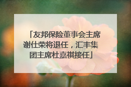 友邦保险董事会主席谢仕荣将退任，汇丰集团主席杜嘉祺接任