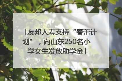 友邦人寿支持“春蕾计划”，向山东250名小学女生发放助学金
