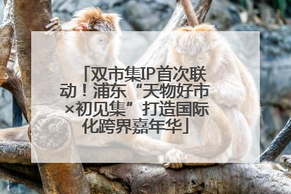 双市集IP首次联动！浦东“天物好市×初见集”打造国际化跨界嘉年华