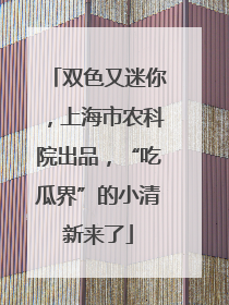 双色又迷你，上海市农科院出品，“吃瓜界”的小清新来了