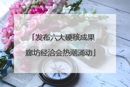 发布六大硬核成果 廊坊经洽会热潮涌动