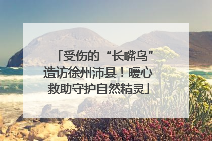 受伤的“长嘴鸟”造访徐州沛县！暖心救助守护自然精灵