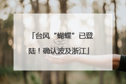 台风“蝴蝶”已登陆！确认波及浙江