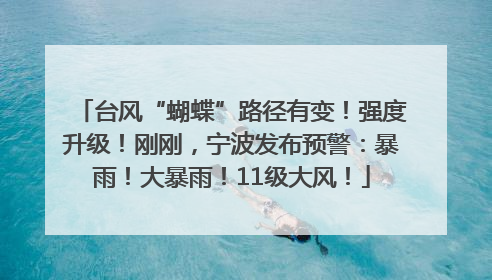 台风“蝴蝶”路径有变！强度升级！刚刚，宁波发布预警：暴雨！大暴雨！11级大风！