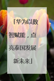 华为以数智赋能，点亮泰国发展新未来