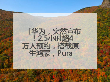 华为，突然宣布！2.5小时超4万人预约，搭载原生鸿蒙，Pura 80外观曝光