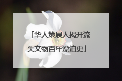 华人策展人揭开流失文物百年漂泊史