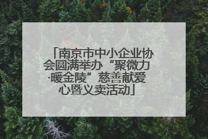 南京市中小企业协会圆满举办“聚微力·暖金陵”慈善献爱心暨义卖活动