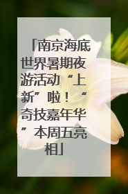 南京海底世界暑期夜游活动“上新”啦！“奇技嘉年华”本周五亮相