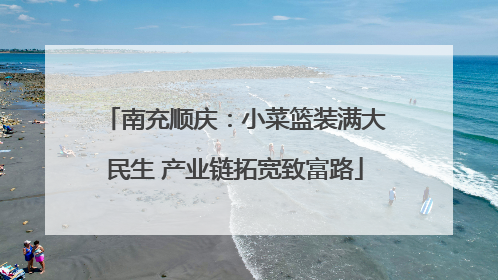 南充顺庆：小菜篮装满大民生 产业链拓宽致富路