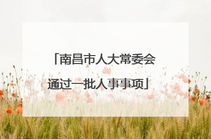 南昌市人大常委会通过一批人事事项