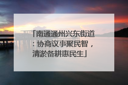 南通通州兴东街道：协商议事聚民智，清淤备耕惠民生
