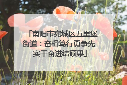 南阳市宛城区五里堡街道：奋楫笃行勇争先 实干奋进结硕果