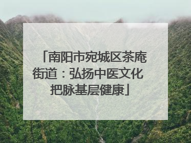 南阳市宛城区茶庵街道：弘扬中医文化 把脉基层健康