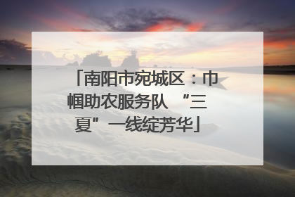 南阳市宛城区：巾帼助农服务队 “三夏”一线绽芳华