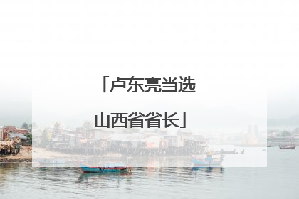 卢东亮当选山西省省长