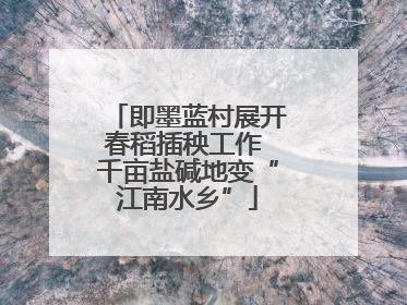 即墨蓝村展开春稻插秧工作 千亩盐碱地变“江南水乡”