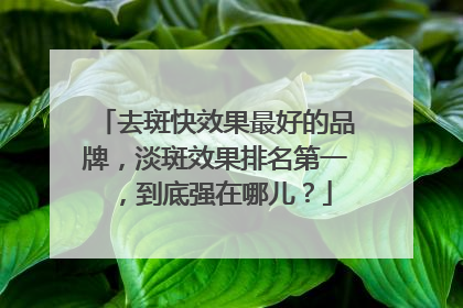 去斑快效果最好的品牌，淡斑效果排名第一，到底强在哪儿？