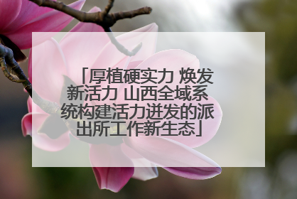 厚植硬实力 焕发新活力 山西全域系统构建活力迸发的派出所工作新生态