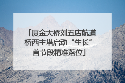 厦金大桥刘五店航道桥西主塔启动“生长” 首节段精准落位