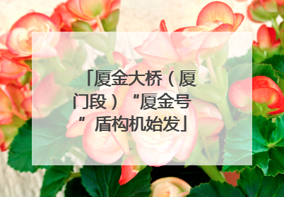 厦金大桥（厦门段）“厦金号”盾构机始发