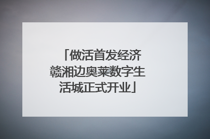 做活首发经济 赣湘边奥莱数字生活城正式开业