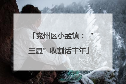兖州区小孟镇：“三夏”收割话丰年