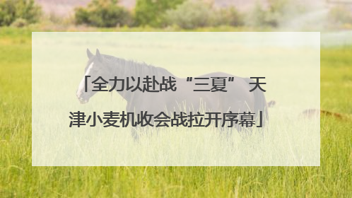 全力以赴战“三夏” 天津小麦机收会战拉开序幕