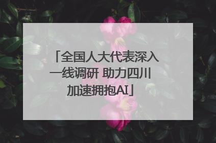 全国人大代表深入一线调研 助力四川加速拥抱AI