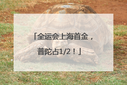 全运会上海首金，普陀占1/2！