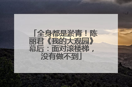 全身都是淤青！陈丽君《我的大观园》幕后：面对滚楼梯，没有做不到