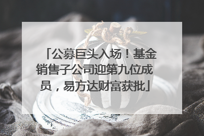 公募巨头入场！基金销售子公司迎第九位成员，易方达财富获批
