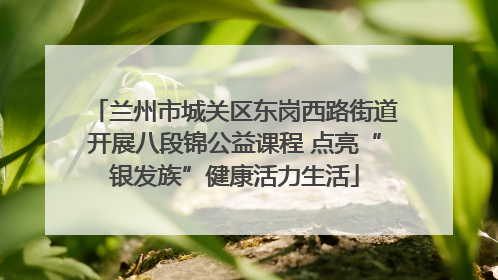 兰州市城关区东岗西路街道开展八段锦公益课程 点亮“银发族”健康活力生活