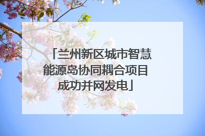 兰州新区城市智慧能源岛协同耦合项目成功并网发电