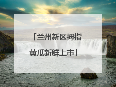兰州新区拇指黄瓜新鲜上市